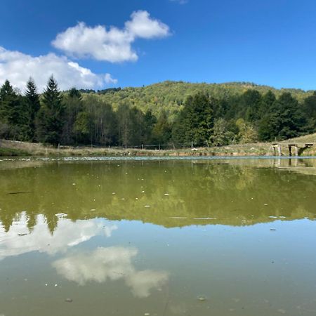 Il Riccio E Il Gufo Otel Cepletischis Dış mekan fotoğraf